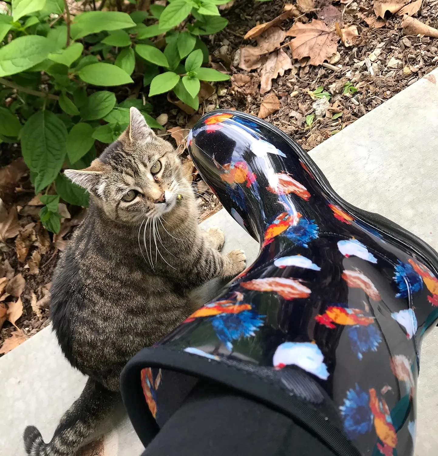 Sloggers Waterproof Garden Rain Boots for Women - Cute Mid-Calf Mud & Muck Boots with Premium Comfort Support Insole
